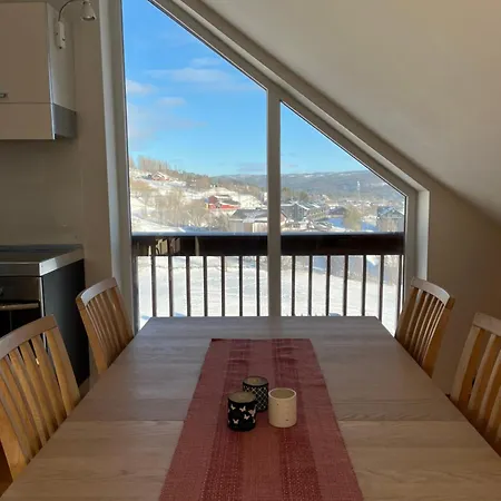 Hyggelig Toppleilighet Naer Sentrum *