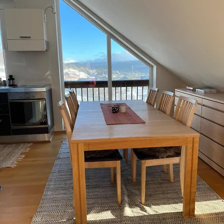 Hyggelig Toppleilighet Naer Sentrum Apartamento